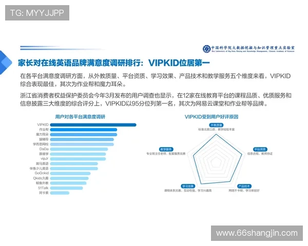 深入分析百胜集团鑫百利公司的发展前景与市场表现