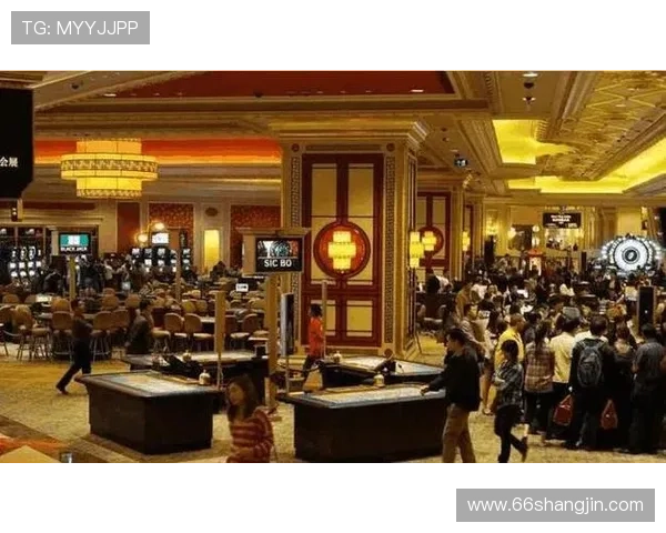 探索澳门最正规游戏公司的实力与信誉 探索澳门最正规游戏公司的实力与信誉