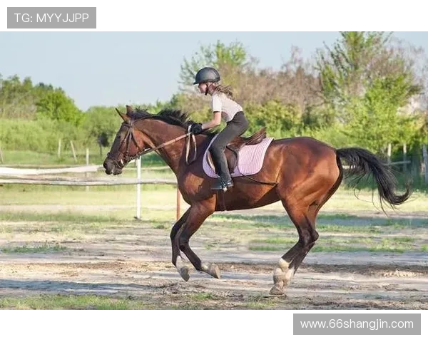 优雅与力量的结合：美女马术比赛精彩瞬间回顾